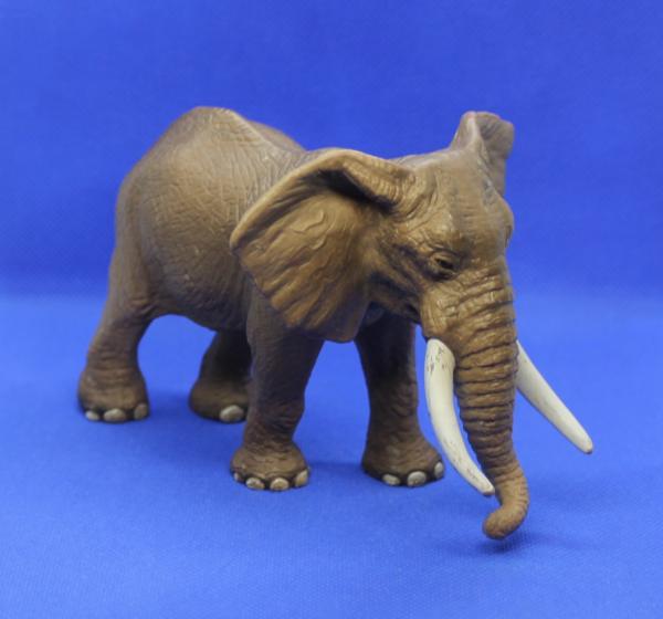 Afrikanischer Elefantenbulle 14341